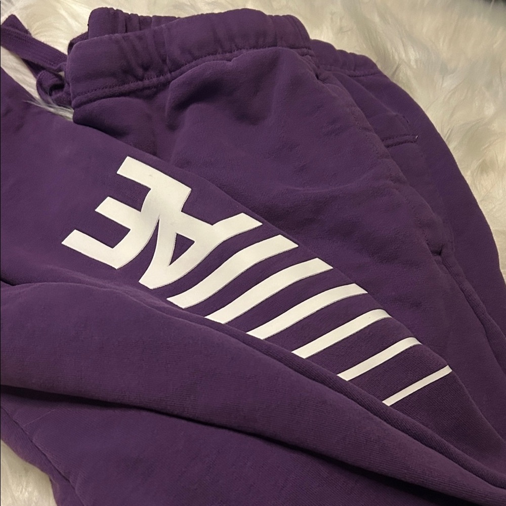 American Eagle Purple Joggers